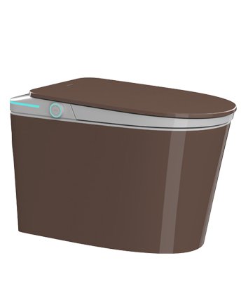 坐便器